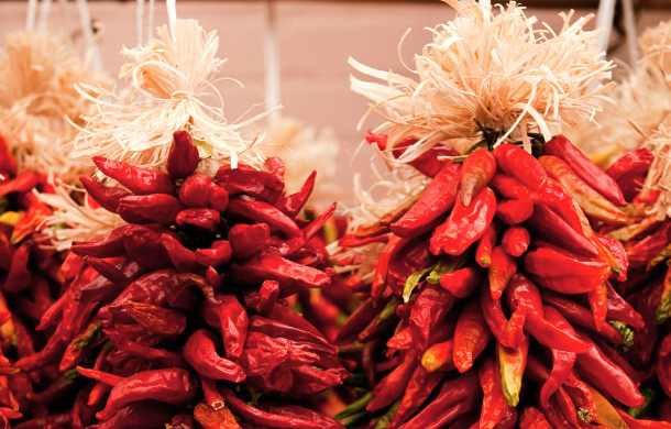 Rediscovering the Charm of Red Chile Ristras - Readlifecare