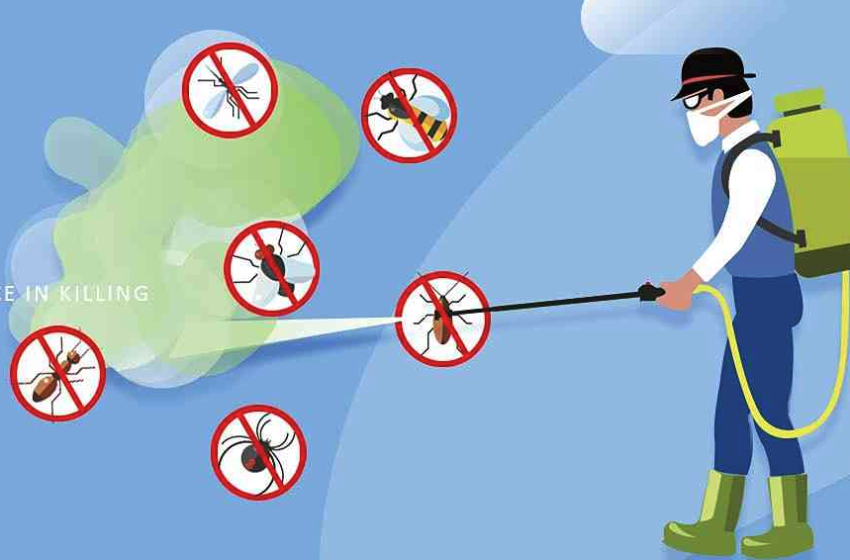  香港專業滅蟲服務：守護居家與辦公室的健康環境